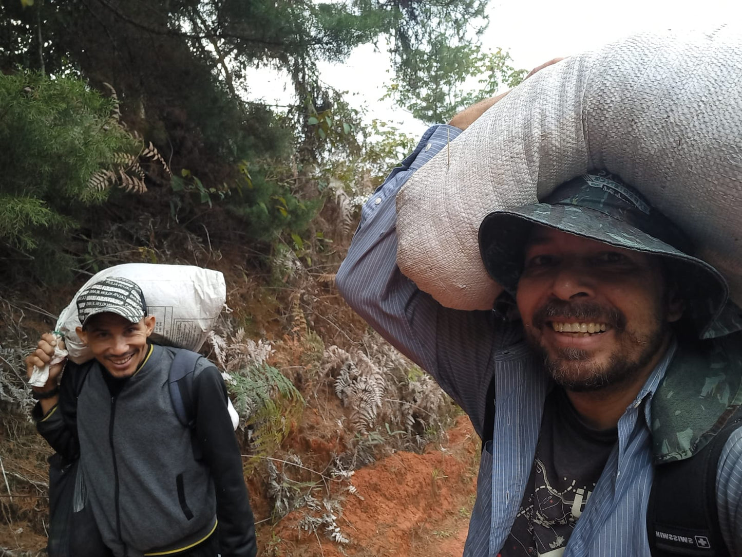 FERTILIZANTE 100% ORGANICO: ✅ Pack Especial: 5 Kg Total de 🌱 Humus de Lombriz + 1 LT de Humus Liquido +📘 Manual de Lombricultura Casera ¡GRATIS!