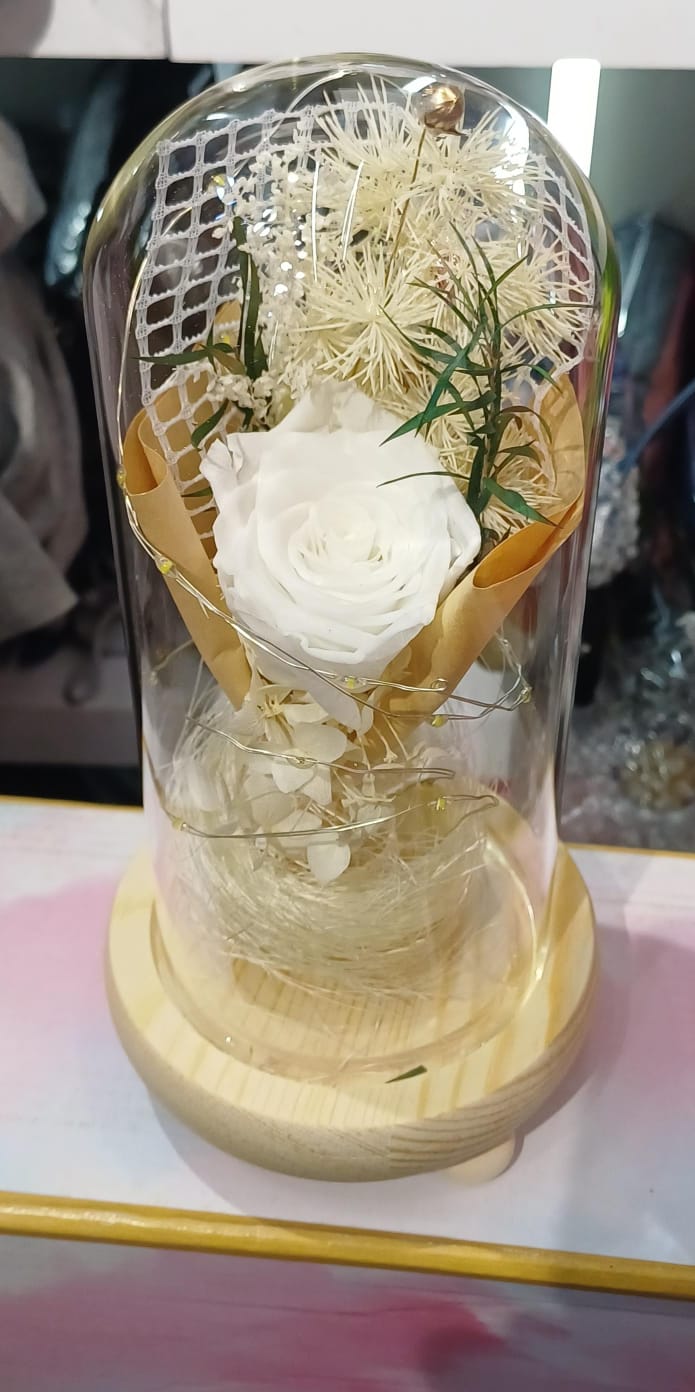 Rosa Eterna LED en Cúpula de Crista
