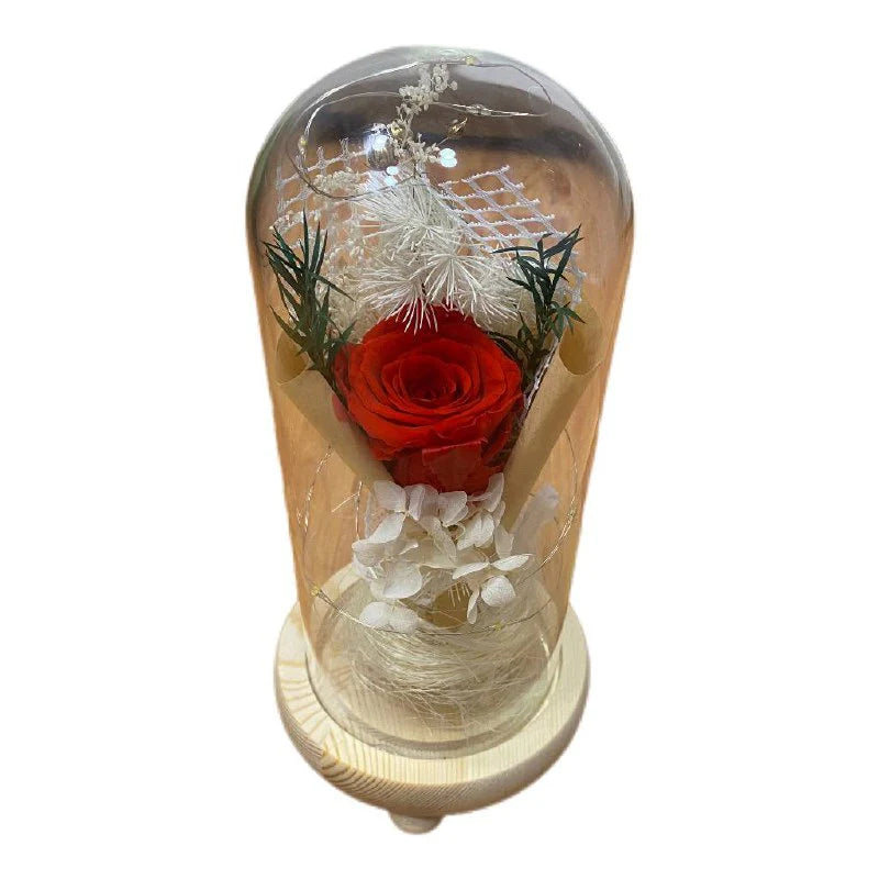 Rosa Eterna LED en Cúpula de Crista