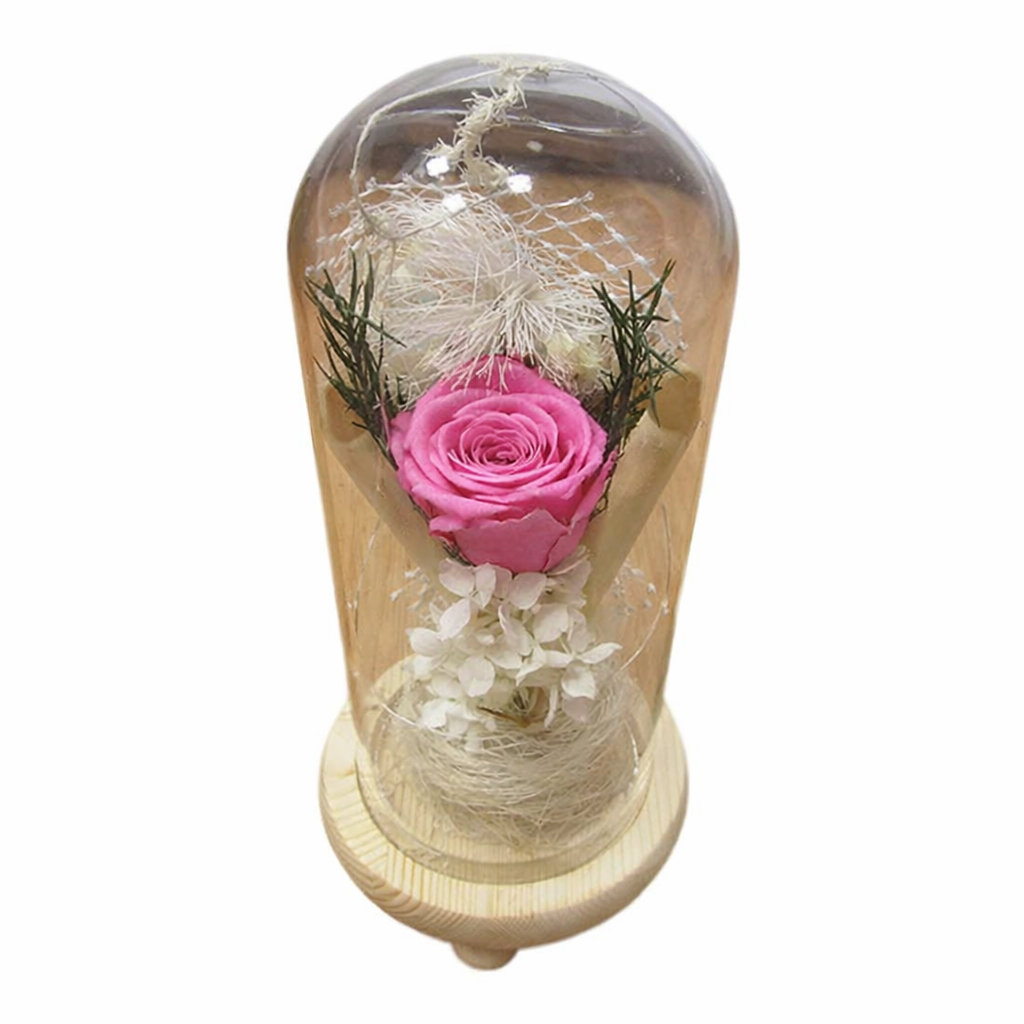 Rosa Eterna LED en Cúpula de Crista