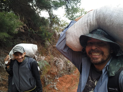 FERTILIZANTE 100% ORGANICO: ✅ Pack Especial: 5 Kg Total de 🌱 Humus de Lombriz + 1 LT de Humus Liquido +📘 Manual de Lombricultura Casera ¡GRATIS!